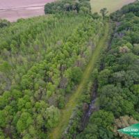 40 ac - Hunting &nbsp; CRP Income images 6