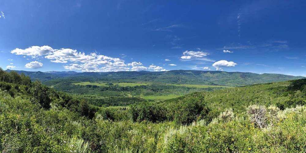 Dunckley Ridge featured image