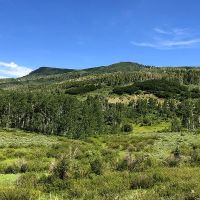 Dunckley Ridge images 2