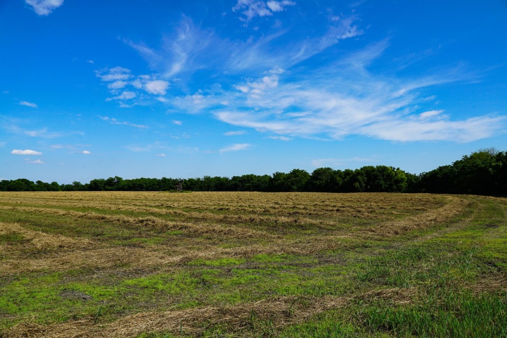 Keystone Road Wildlife Retreat featured image