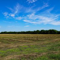 Keystone Road Wildlife Retreat