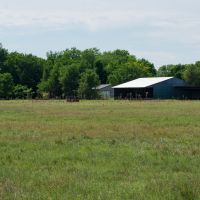 Keystone Road Wildlife Retreat images 6