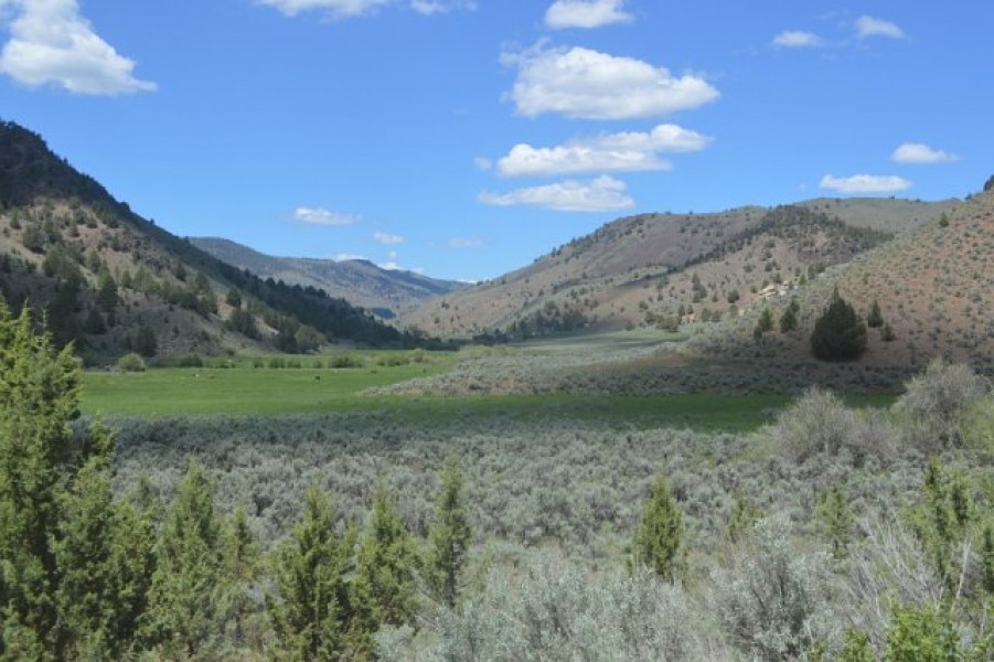 Ironside Mountain Ranch featured image