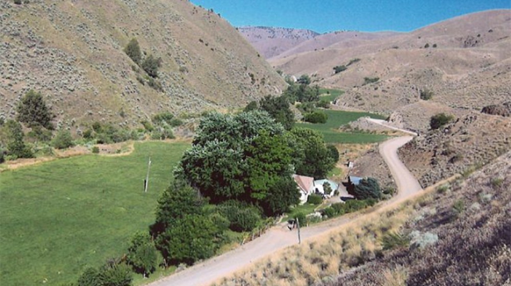 Dixie Creek Ranch featured image