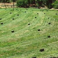 Dixie Creek Ranch images 4