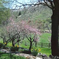 Dixie Creek Ranch images 5