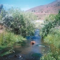 Dixie Creek Ranch images 6