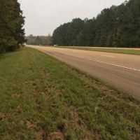 28 Acres in Holmes County on Bowling Green Road in Durant  MS images 3