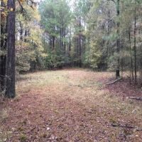 28 Acres in Holmes County on Bowling Green Road in Durant  MS images 5