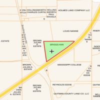 28 Acres in Holmes County on Bowling Green Road in Durant  MS images 6