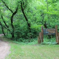 Secluded Country Estate in Jackson County images 3