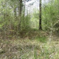 19.44 Acres in Montgomery County in French Camp  MS images 3