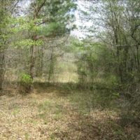 19.44 Acres in Montgomery County in French Camp  MS images 4