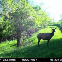 North Lodge Trail Land images 3