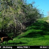 North Lodge Trail Land images 5