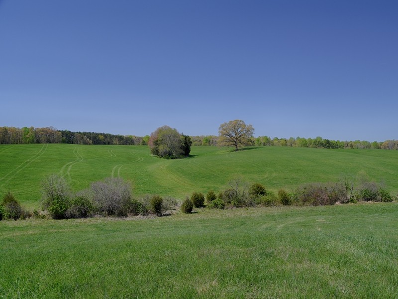 Oak Tree Farm featured image