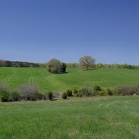 Oak Tree Farm