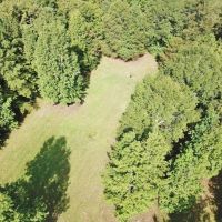 113 Acres Hunting Land for Sale Lodge  St. Francisville  LA images 3