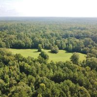 113 Acres Hunting Land for Sale Lodge  St. Francisville  LA images 4
