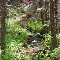 Warner Mountain Retreat images 2