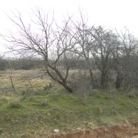 C397 images 4