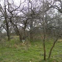 C397 images 6