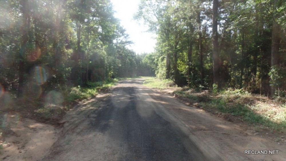 22.5 ac - Timberland for Rural Home Site featured image