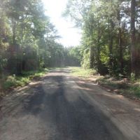 22.5 ac - Timberland for Rural Home Site
