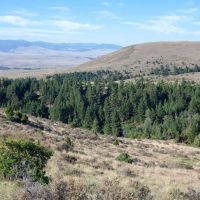 Wild Country Ranch