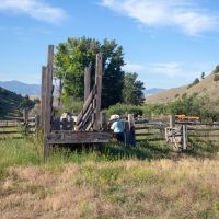 Wild Country Ranch images 2
