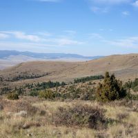 Wild Country Ranch images 4