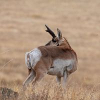 Wild Country Ranch images 5