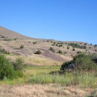 Wild Country Ranch images 6