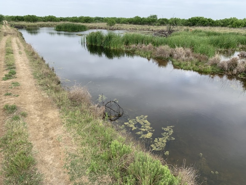 Rancho Bayou Grande featured image