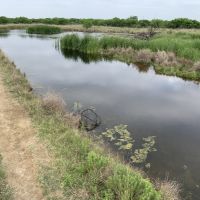 Rancho Bayou Grande