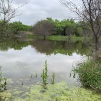 Rancho Bayou Grande images 5