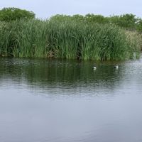 Rancho Bayou Grande images 6