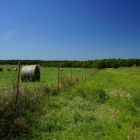 Highway 63 Cattle Ranch 520 - HL images 5
