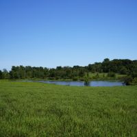 Highway 63 Cattle Ranch 520 - HL images 6