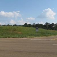 Hwy 98  Tylertown images 3