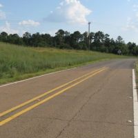 Hwy 98  Tylertown images 4