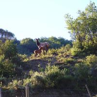 Grassy Creek Ranch