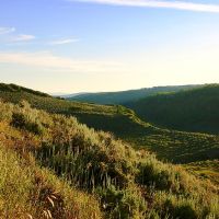 Grassy Creek Ranch images 2
