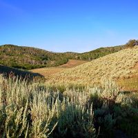 Grassy Creek Ranch images 4