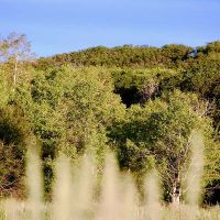 Grassy Creek Ranch images 5