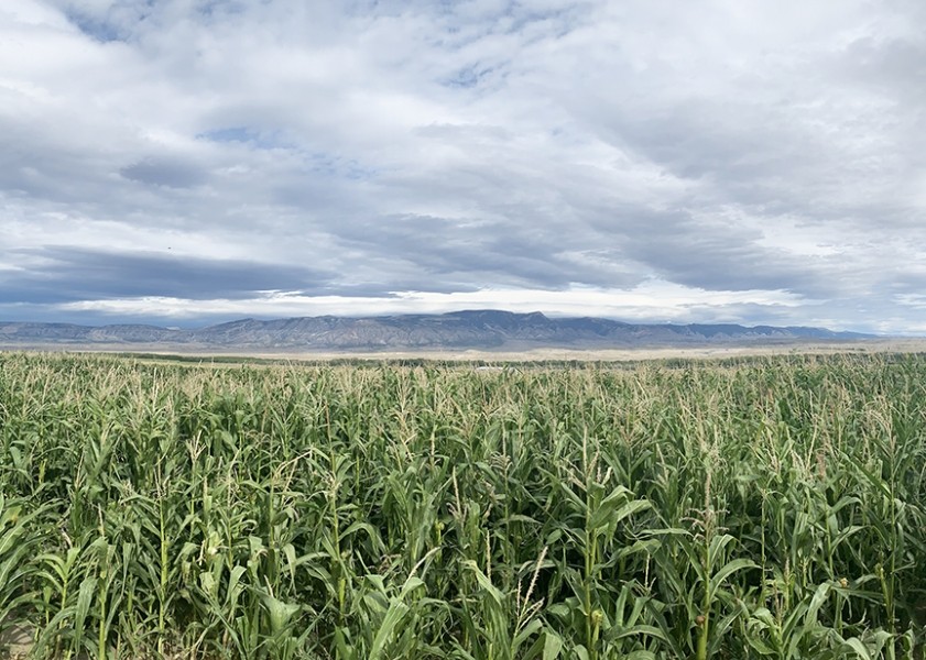 Bighorn River Ranch featured image