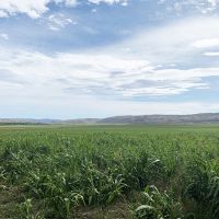 Bighorn River Ranch images 2