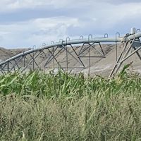Bighorn River Ranch images 3