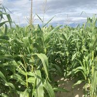 Bighorn River Ranch images 5