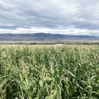 Bighorn River Ranch images 6